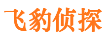 雅江市侦探